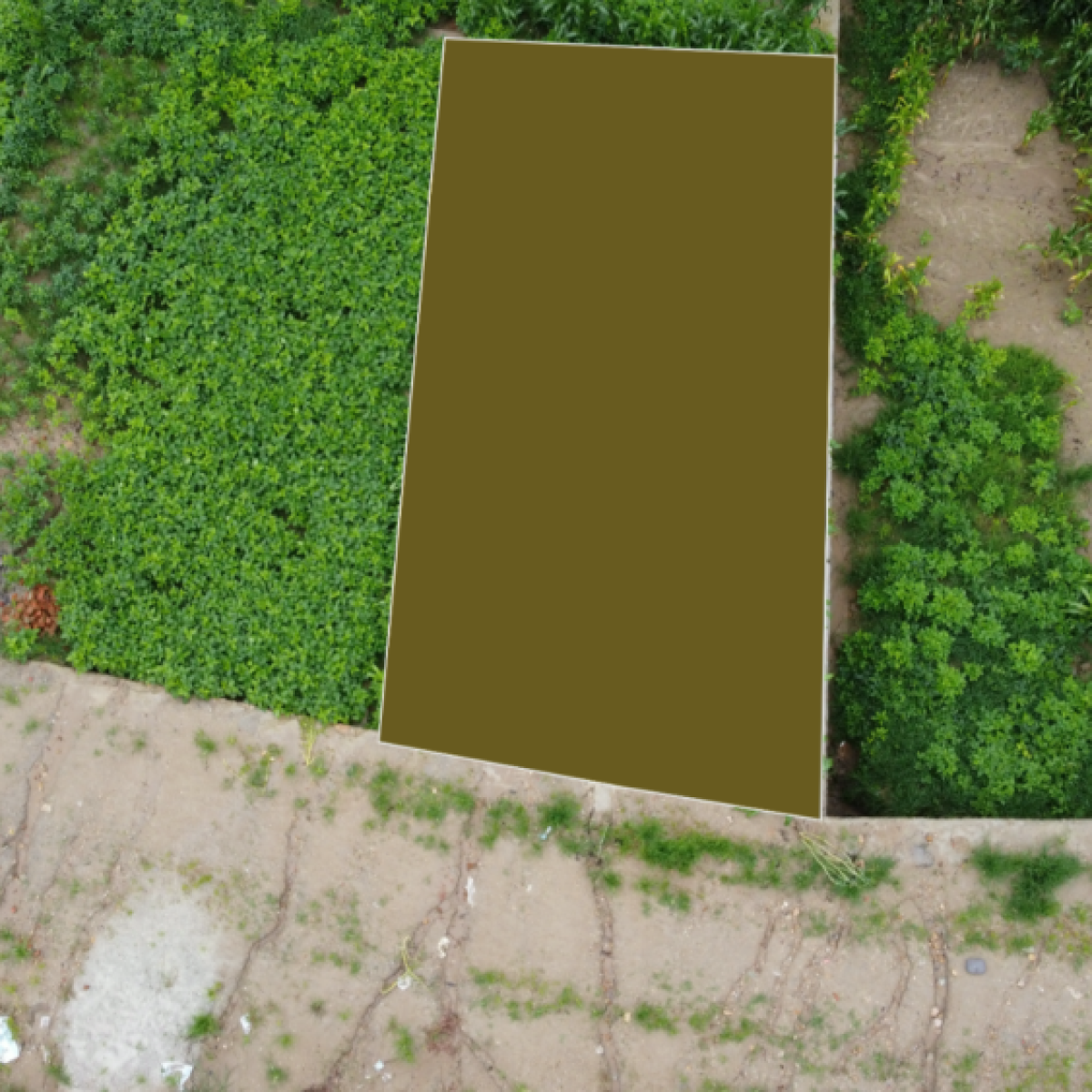 Land for sale in Fuyalgaun Kageshwori Manohara